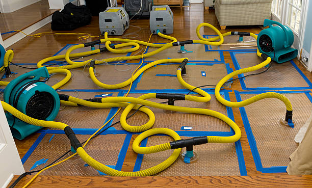 Professional Sewage Cleanup technician working in Edgewood, MD